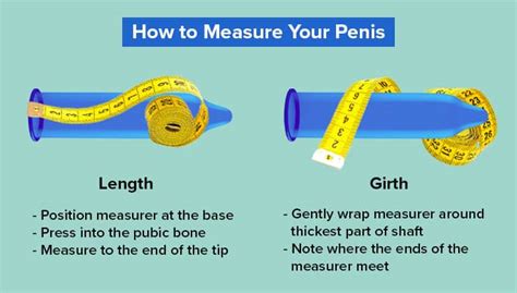 pictures of a dick|Shown Actual Size: A Penis Shape & Size Lowdown